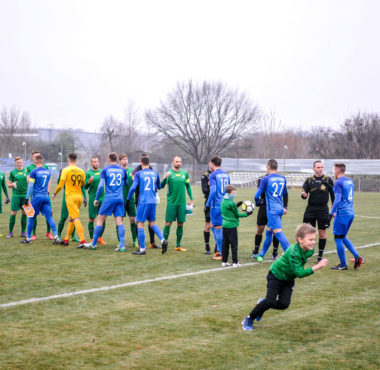 Warta Poznań - Puszcza Niepołomice