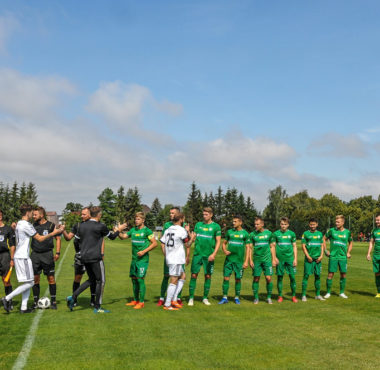 Sparing Warty Poznań