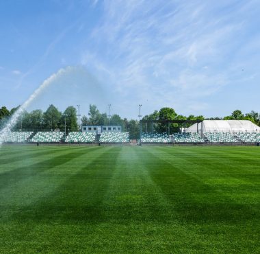 Ogródek, stadion Warty Poznań