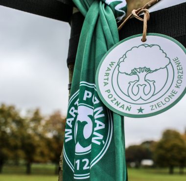 Drzewo Warty Poznań w Parku Jana Pawła II