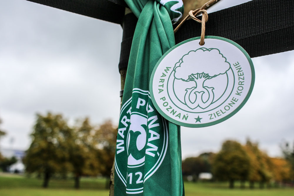 Drzewo Warty Poznań w Parku Jana Pawła II