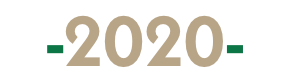 Rok 2020