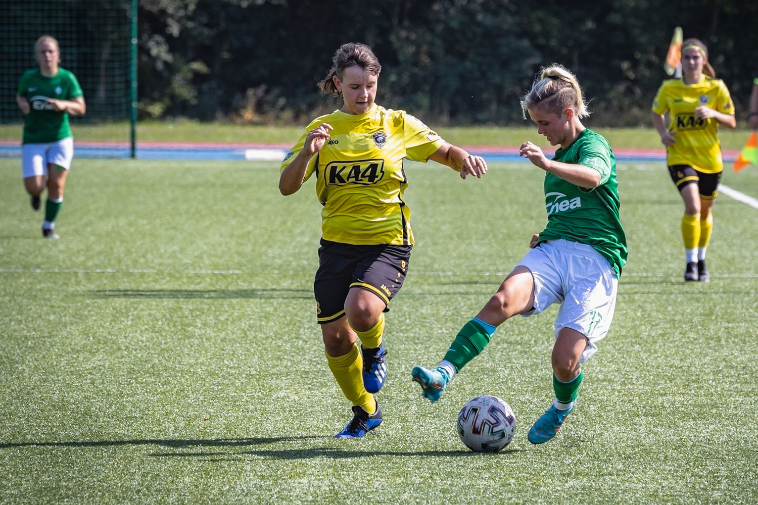 Warta Poznań kobiety