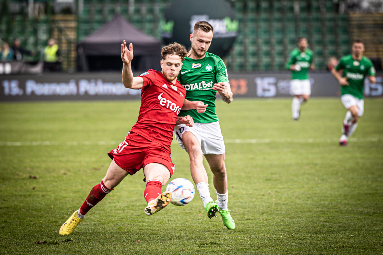 Warta Poznań - Lechia Gdańsk 2:0. Maciej Żurawski